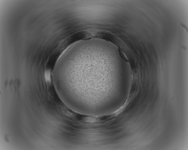 X0000097500094200803071812