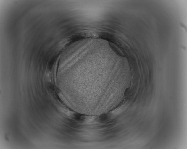 X0000097500096200803071812