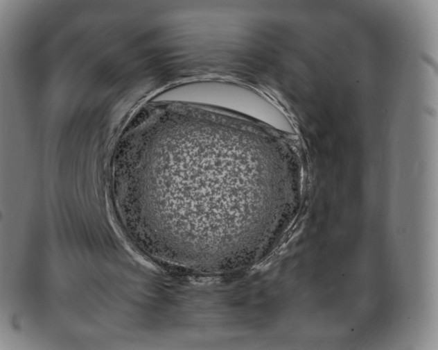 X0000097500097200803071811