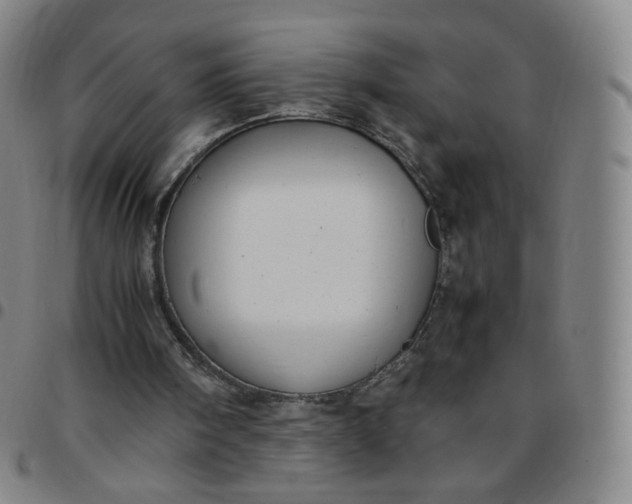 X0000097500098200803071811