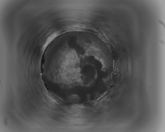 X0000097500099200803071811