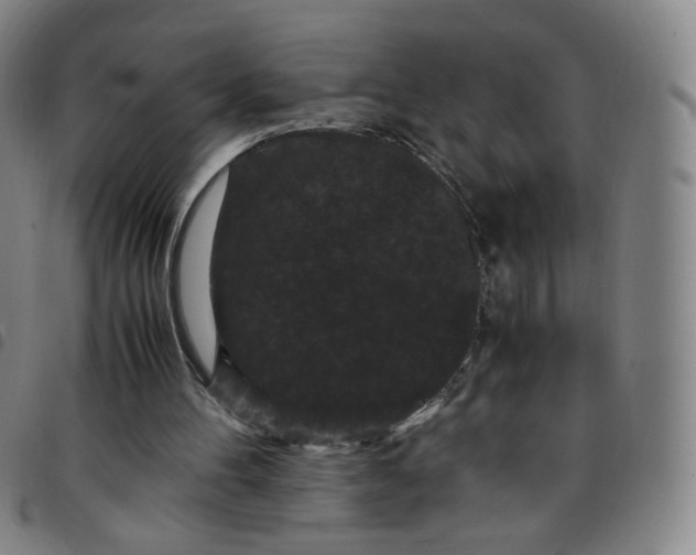 X0000097500100200803071811