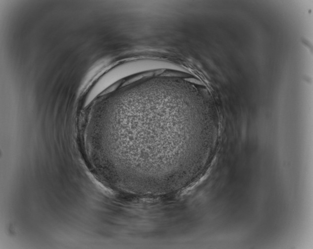 X0000097500101200803071811