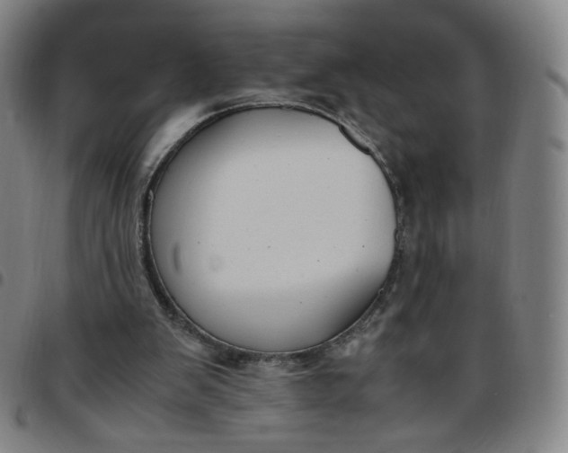 X0000097500103200803071811