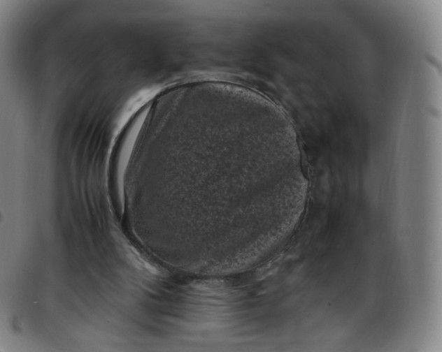 X0000097500104200803071811