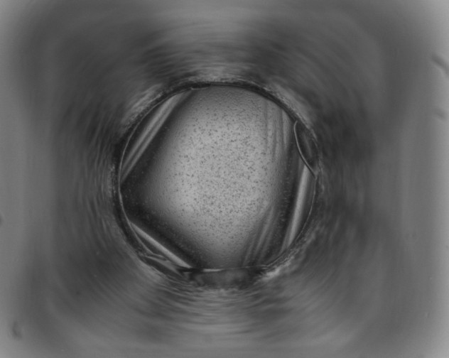 X0000097500105200803071811