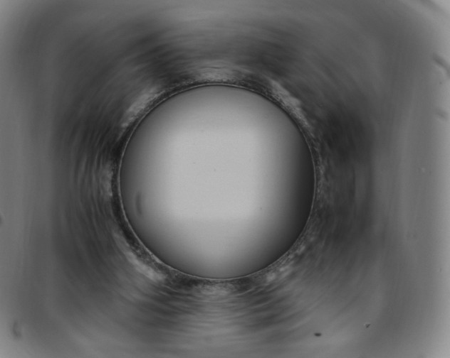 X0000097500106200803071811