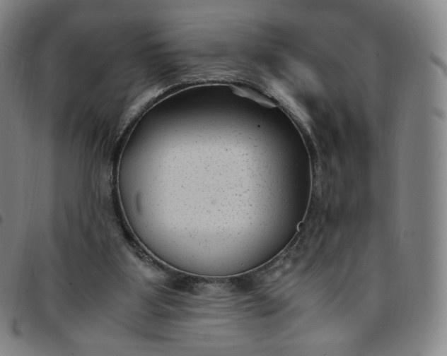 X0000097500107200803071811