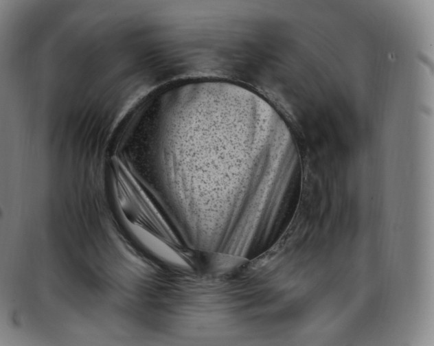 X0000097500108200803071811