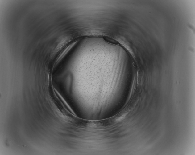 X0000097500109200803071811