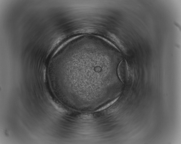 X0000097500110200803071811