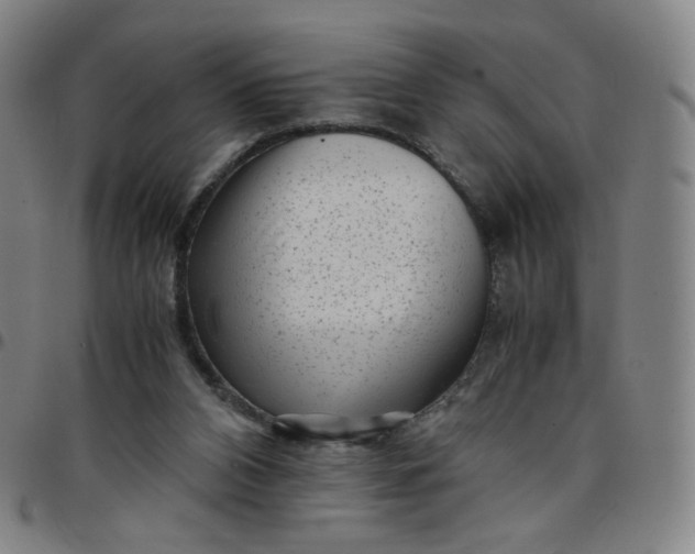 X0000097500112200803071811