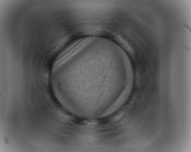 X0000097500113200803071811