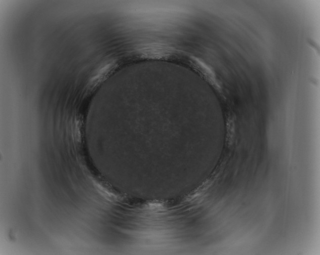 X0000097500114200803071811