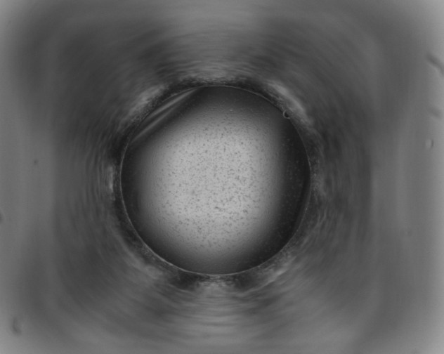 X0000097500115200803071811