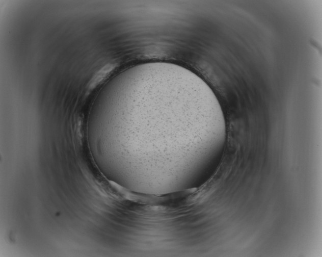 X0000097500116200803071811