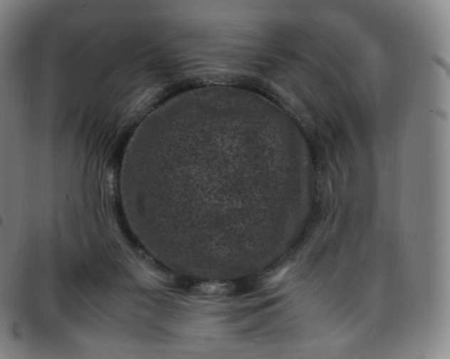 X0000097500117200803071811