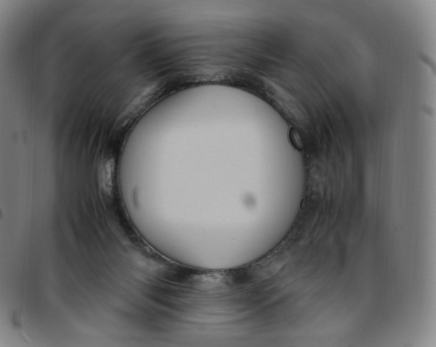 X0000097500118200803071811