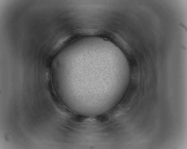 X0000097500119200803071811