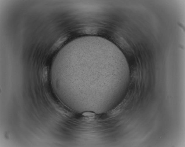 X0000097500120200803071811