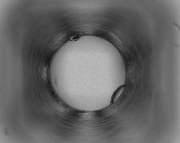 X0000097500122200803071811