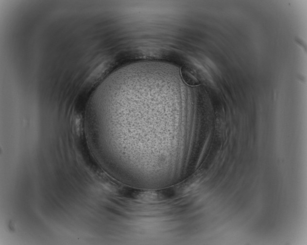 X0000097500123200803071811