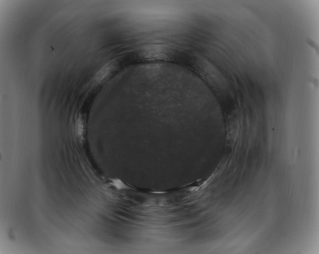 X0000097500124200803071811