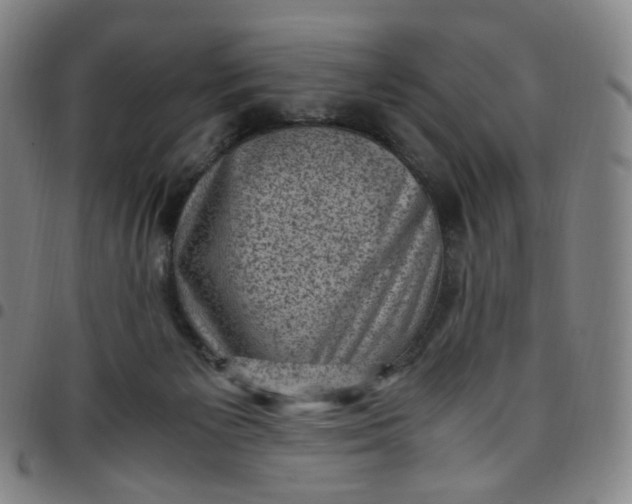 X0000097500125200803071811