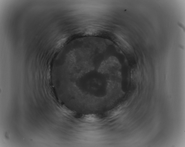 X0000097500127200803071811