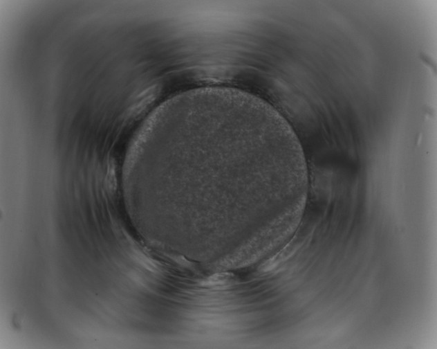 X0000097500128200803071811