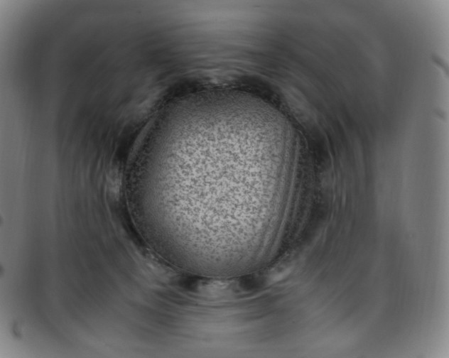 X0000097500129200803071810