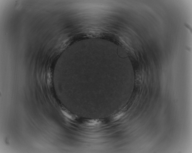 X0000097500130200803071810