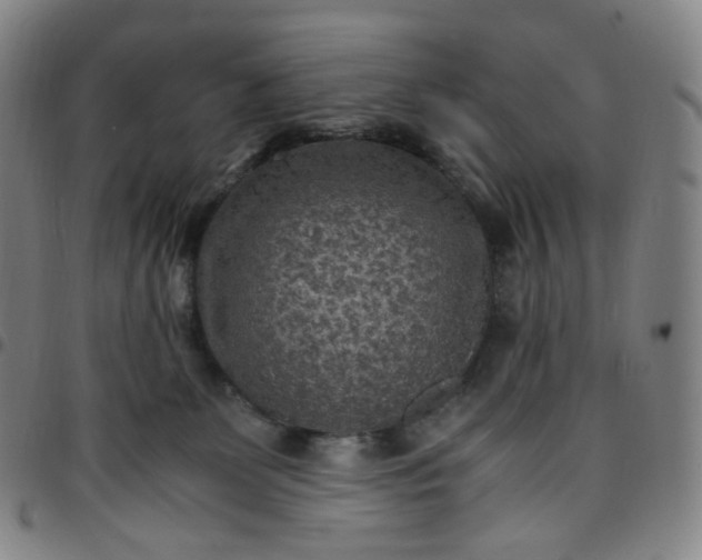 X0000097500131200803071810