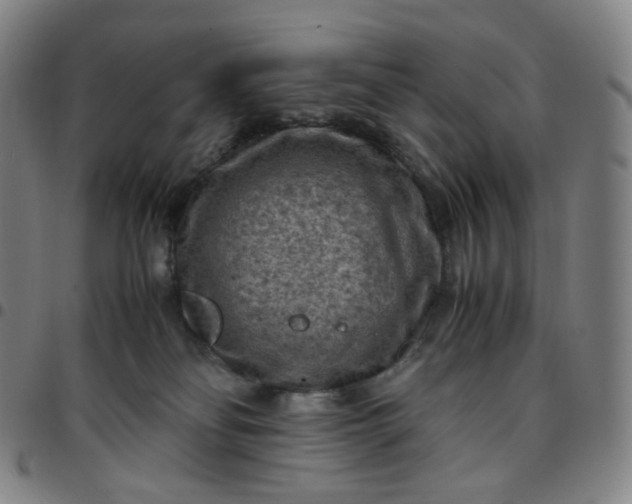 X0000097500134200803071810