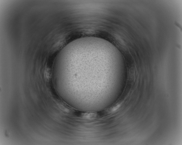 X0000097500135200803071810