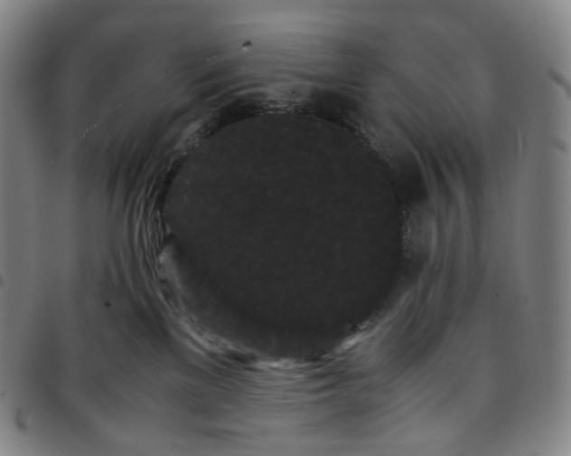 X0000097500137200803071810