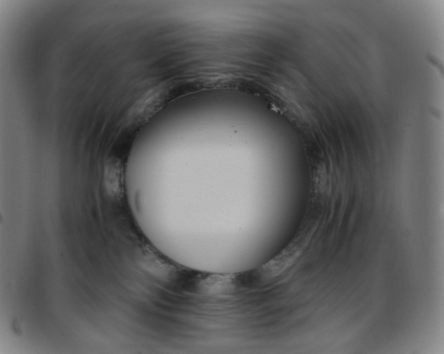 X0000097500138200803071810