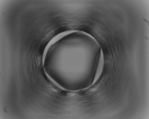 X0000097500139200803071810