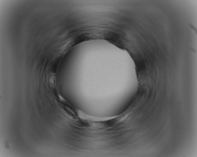 X0000097500141200803071810