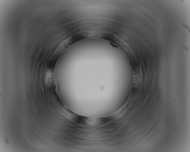 X0000097500142200803071810