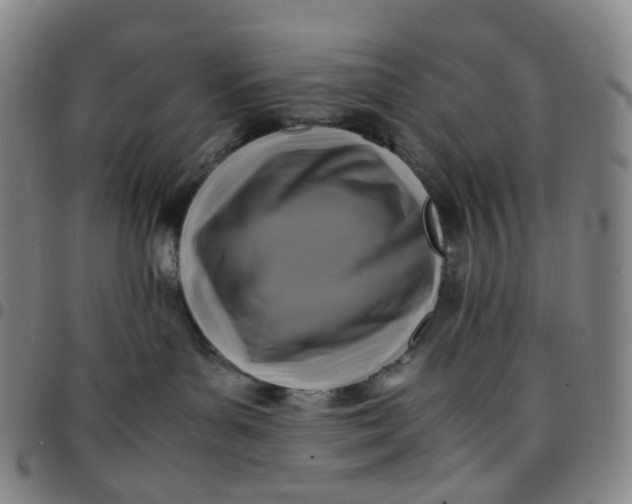 X0000097500143200803071810