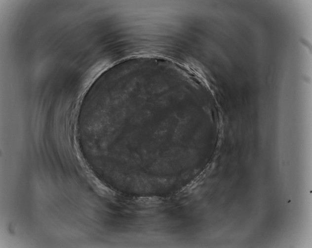 X0000097500145200803071810