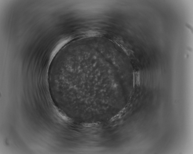 X0000097500147200803071810