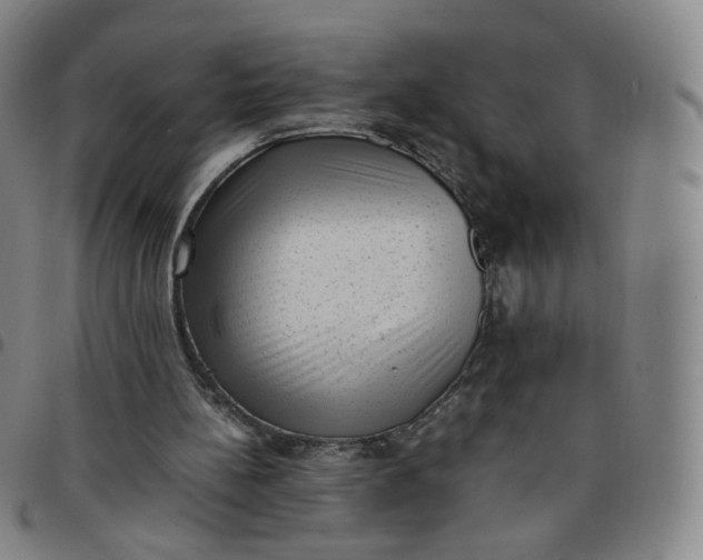 X0000097500148200803071810