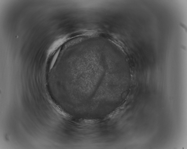 X0000097500149200803071810