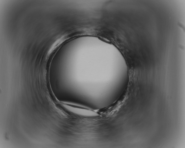 X0000097500150200803071810