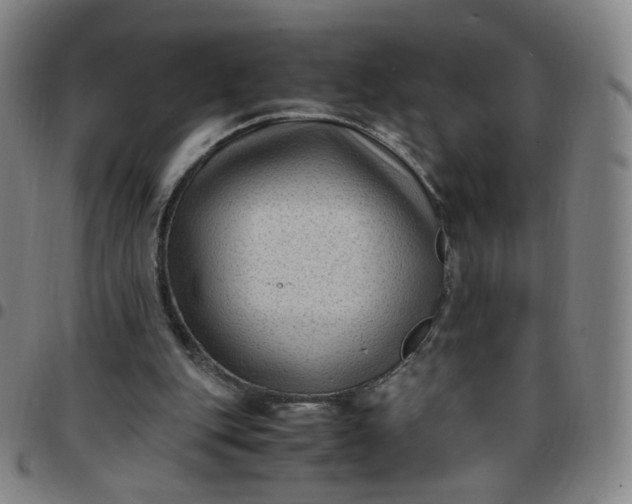 X0000097500151200803071810