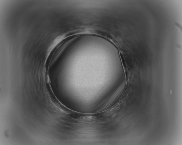 X0000097500152200803071810