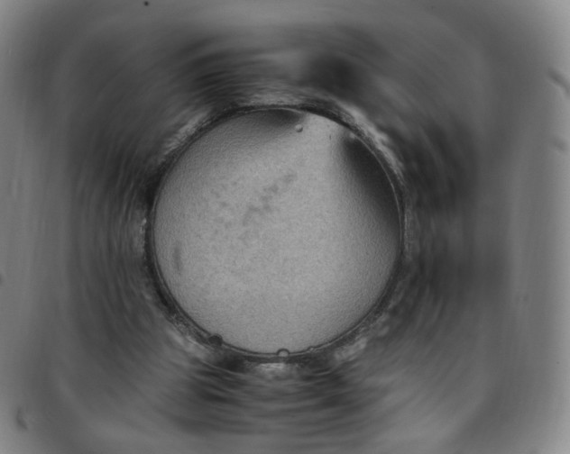 X0000097500153200803071810