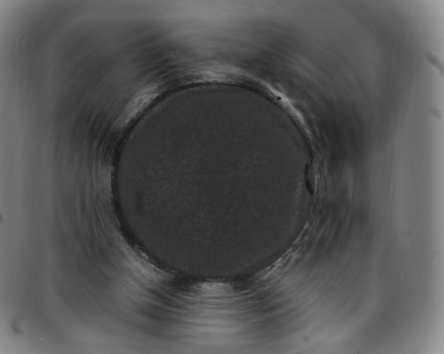 X0000097500154200803071810